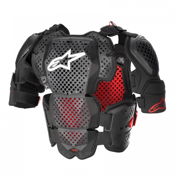 Защита тела Alpinestars A10 V2